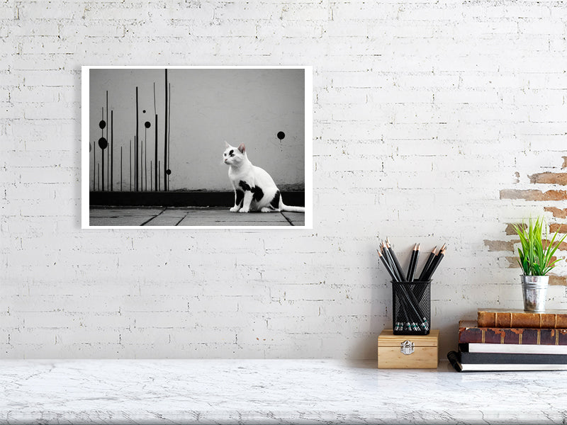 The Tale Of A Cat - Pt 1 - Shadow & Form by Elena Selene – Giclée Print, 63cm x 87cm, 25.0in x 34.3in, Print Only, placed above a sleek desk in a modern workspace
