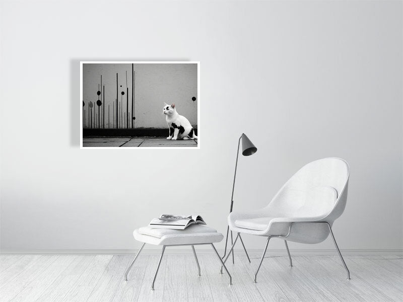 The Tale Of A Cat - Pt 1 - Shadow & Form by Elena Selene – Giclée Print, 17cm x 30cm, 6.7in x 11.8in, Print Only, placed above a sleek desk in a modern workspace