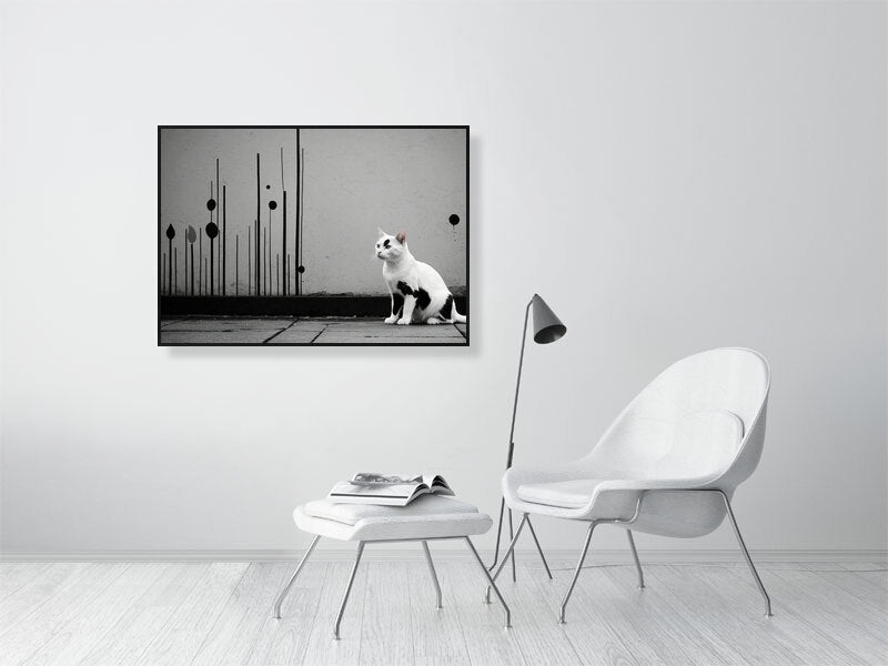 The Tale Of A Cat - Pt 1 - Shadow & Form by Elena Selene – Giclée Print, 30cm x 45cm, 11.8in x 17.7in, Oak Frame, placed above a sleek desk in a modern workspace