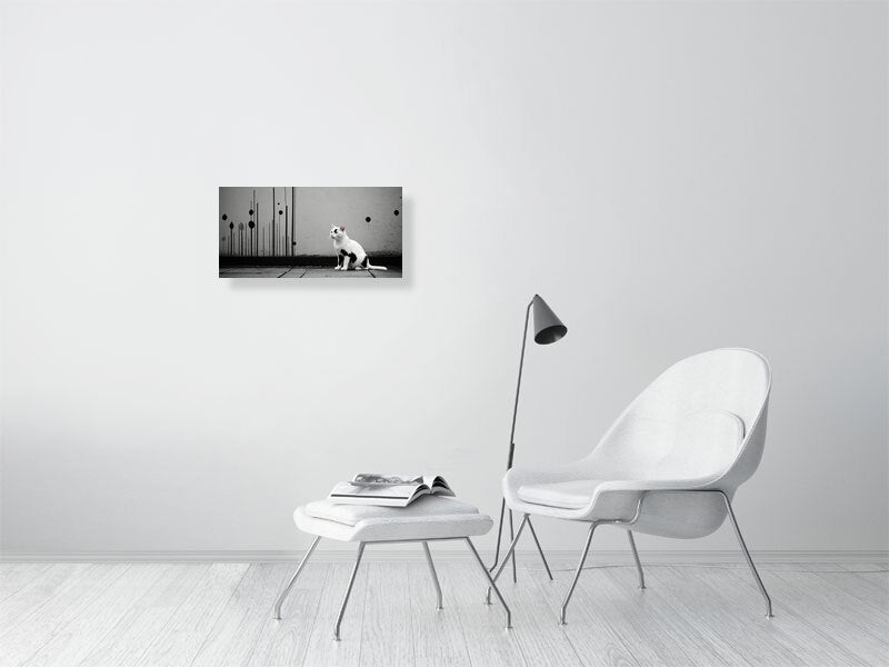 The Tale Of A Cat - Pt 1 - Shadow & Form by Elena Selene – Giclée Print, 70cm x 100cm, 27.6in x 39.4in, Black Frame, placed above a sleek desk in a modern workspace