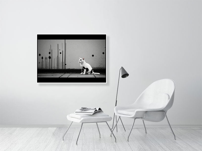 The Tale Of A Cat - Pt 1 - Shadow & Form by Elena Selene – Giclée Print, 16cm x 28cm, 6.2in x 10.9in, Print Only, placed above a sleek desk in a modern workspace