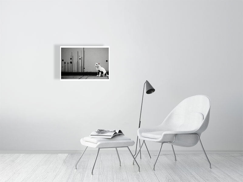 The Tale Of A Cat - Pt 1 - Shadow & Form by Elena Selene – Giclée Print, 30cm x 42cm, 11.7in x 16.5in, Print Only, placed above a sleek desk in a modern workspace