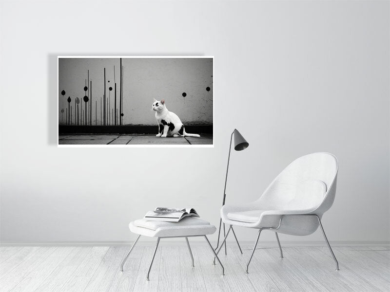 The Tale Of A Cat - Pt 1 - Shadow & Form by Elena Selene – Giclée Print, 30cm x 60cm, 11.8in x 23.6in, Print Only, placed above a sleek desk in a modern workspace