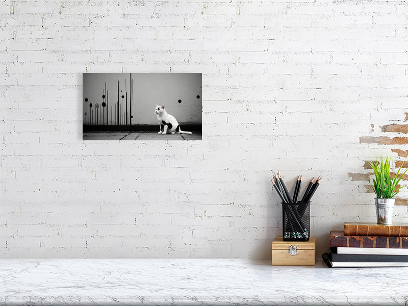 The Tale Of A Cat - Pt 1 - Shadow & Form by Elena Selene – Giclée Print, 69cm x 117cm, 27.1in x 46.1in, Print Only, placed above a sleek desk in a modern workspace