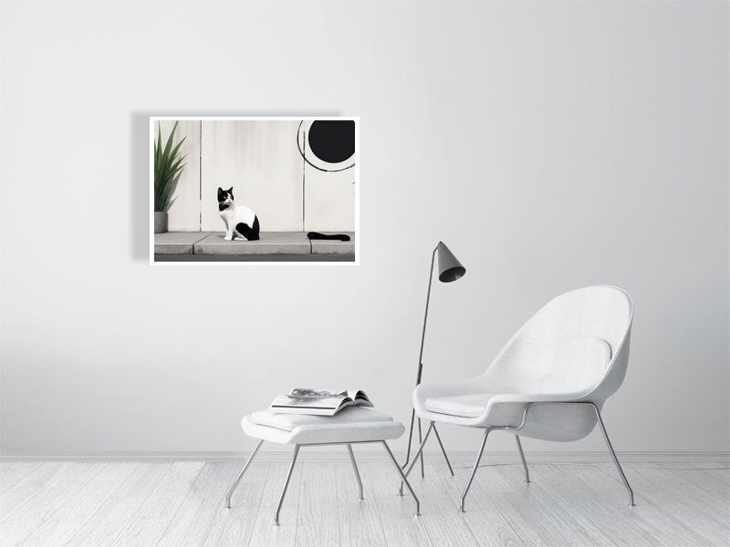 The Tale Of A Cat - Pt 1 - Quiet Patterns by Elena Selene – Giclée Print, 28cm x 50cm, 10.8in x 19.7in, Print Only, placed above a sleek desk in a modern workspace