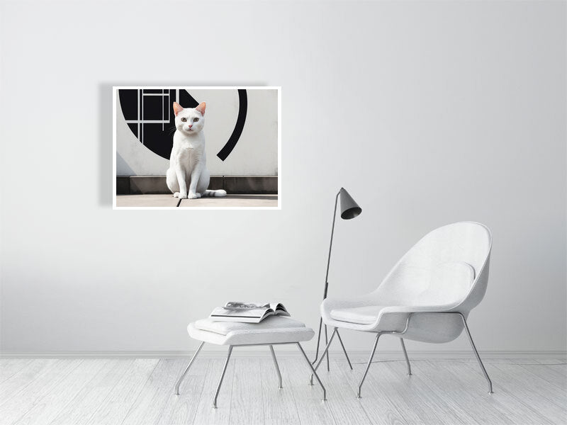 The Tale Of A Cat - Pt 1 - Gaze Of Simplicity by Elena Selene – Giclée Print, 30cm x 53cm, 11.8in x 21.0in, Print Only, placed above a sleek desk in a modern workspace